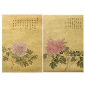 Ma Quan (17th-18th century) Floral Studies